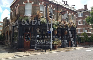 Major Plants Ltd - Before after - London - UK - Image 6
