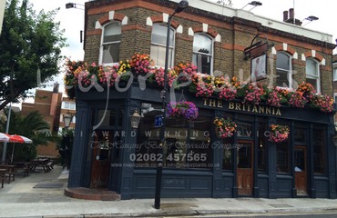 Major Plants Ltd - Before after - London - UK - Image 7