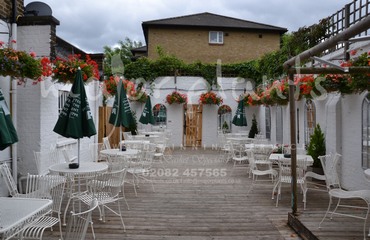 Major Plants Ltd - Before after - London - UK - Image 19