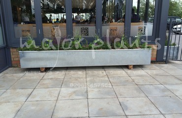 Major Plants Ltd - Before after - London - UK - Image 23