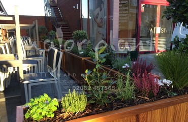 Major Plants Ltd - Before after - London - UK - Image 29