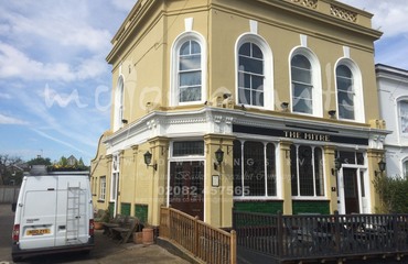 Major Plants Ltd - Before after - London - UK - Image 36