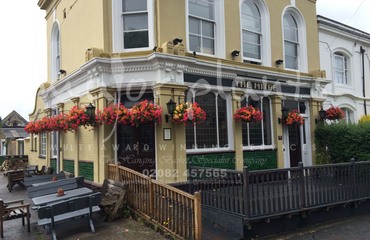 Major Plants Ltd - Before after - London - UK - Image 37