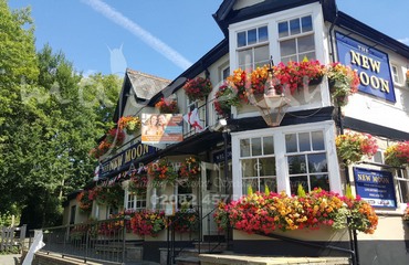 Major Plants Ltd - Before after - London - UK - Image 39