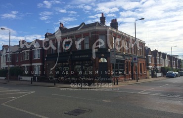 Major Plants Ltd - Before after - London - UK - Image 44