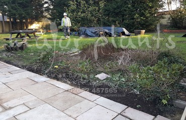 Major Plants Ltd - Before after - London - UK - Image 58