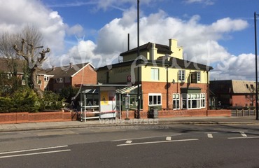 Major Plants Ltd - Before after - London - UK - Image 66