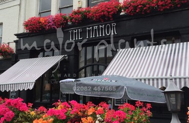 Major Plants Ltd - Hanging Basket Services - London - UK - Image 10