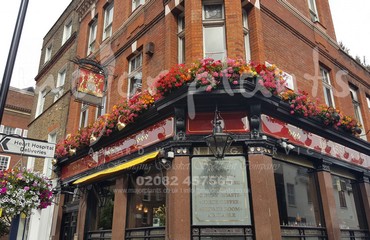 Major Plants Ltd - Hanging Basket Services - London - UK - Image 14