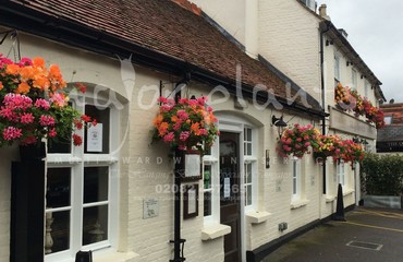 Major Plants Ltd - Hanging Basket Services - London - UK - Image 17
