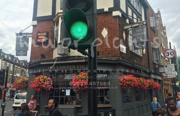 Major Plants Ltd - Hanging Basket Services - London - UK - Image 18