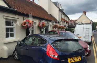 Major Plants Ltd - Hanging Basket Services - London - UK - Image 19