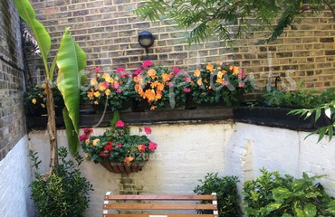 Major Plants Ltd - Hanging Basket Services - London - UK - Image 26