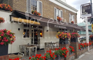 Major Plants Ltd - Hanging Basket Services - London - UK - Image 40