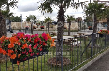 Major Plants Ltd - Hanging Basket Services - London - UK - Image 43