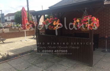 Major Plants Ltd - Hanging Basket Services - London - UK - Image 57
