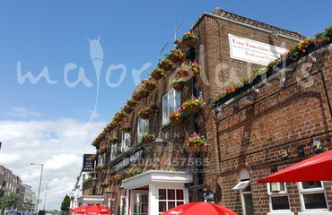 Major Plants Ltd - Hanging Basket Services - London - UK - Image 65