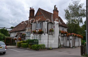 Major Plants Ltd - Hanging Basket Services - London - UK - Image 74