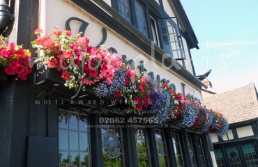 Major Plants Ltd - Hanging Basket Services - London - UK - Image 86