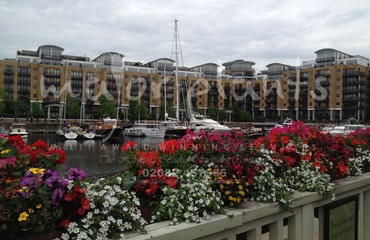 Major Plants Ltd - Hanging Basket Services - London - UK - Image 88