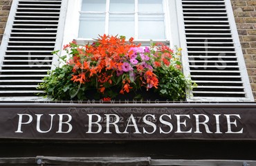 Major Plants Ltd - Hanging Basket Services - London - UK - Image 90