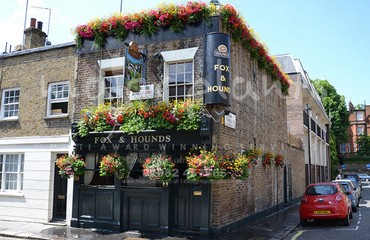 Major Plants Ltd - Hanging Basket Services - London - UK - Image 97