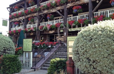 Major Plants Ltd - Hanging Basket Services - London - UK - Image 103