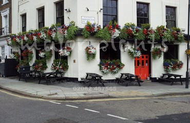 Major Plants Ltd - Hanging Basket Services - London - UK - Image 123