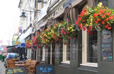 Major Plants Ltd - Hanging Basket Services - London - UK - Image 130