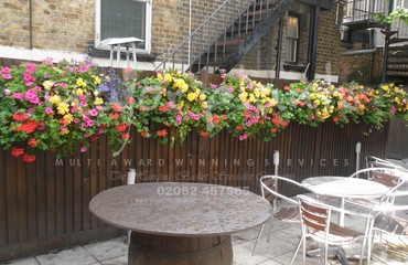 Major Plants Ltd - Hanging Basket Services - London - UK - Image 139