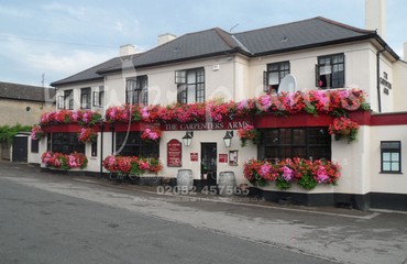 Major Plants Ltd - Hanging Basket Services - London - UK - Image 145