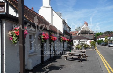 Major Plants Ltd - Hanging Basket Services - London - UK - Image 149