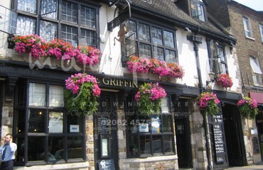 Major Plants Ltd - Hanging Basket Services - London - UK - Image 156