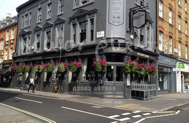 Major Plants Ltd - Hanging Basket Services - London - UK - Image 179