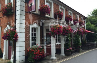 Major Plants Ltd - Hanging Basket Services - London - UK - Image 180
