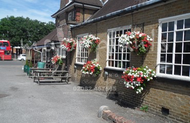 Major Plants Ltd - Hanging Basket Services - London - UK - Image 182