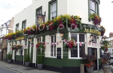 Major Plants Ltd - Hanging Basket Services - London - UK - Image 186