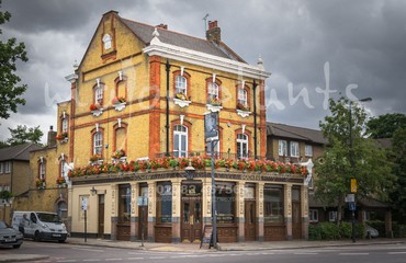 Major Plants Ltd - Hanging Basket Services - London - UK - Image 190
