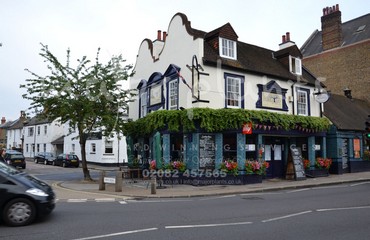 Major Plants Ltd - Hanging Basket Services - London - UK - Image 191