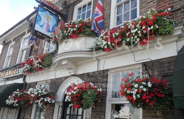 Major Plants Ltd - Hanging Basket Services - London - UK - Image 192