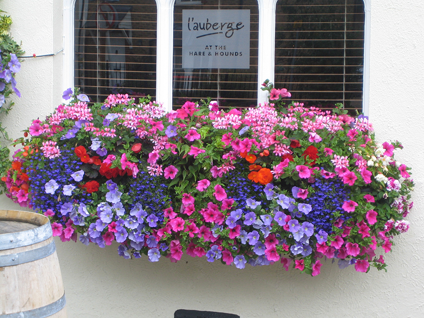 Hanging Basket Service London UK